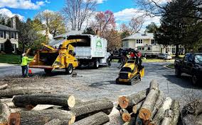 Professional Tree Removal in Tuskegee, AL